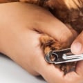 Should i use a scissor-style or guillotine-style nail trimmer for my dog?