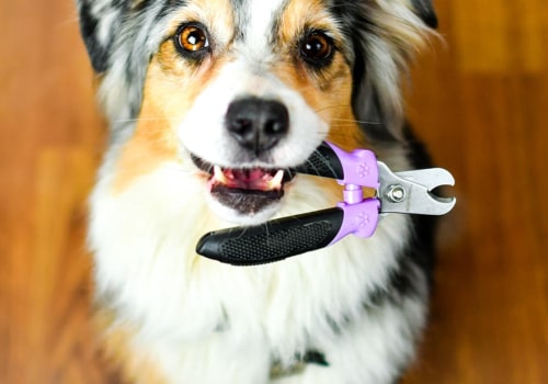 Are there any special considerations when trimming dark-colored nails on a light-colored dog?