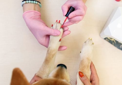 Are there any special considerations when trimming white nails on a black-haired dog?