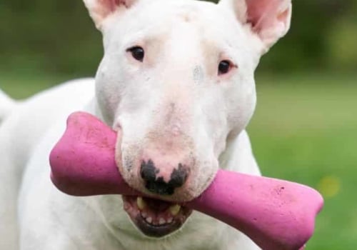 Are there any special considerations when trimming wide nails on a narrow-headed breed?